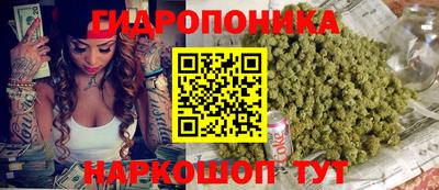 ALPHA-PVP Можга