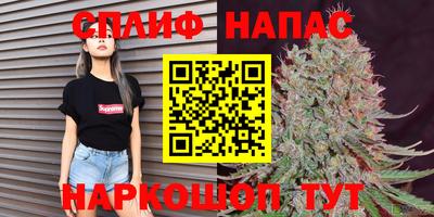 гидропоника Можайск