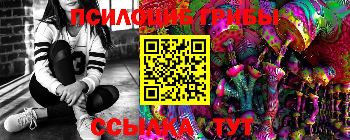 Советская Гавань  Псилоцибиновые грибы ЛСД  Вход с VPN 